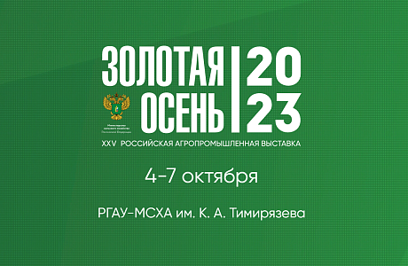 "Золотая осень-2023" наступила